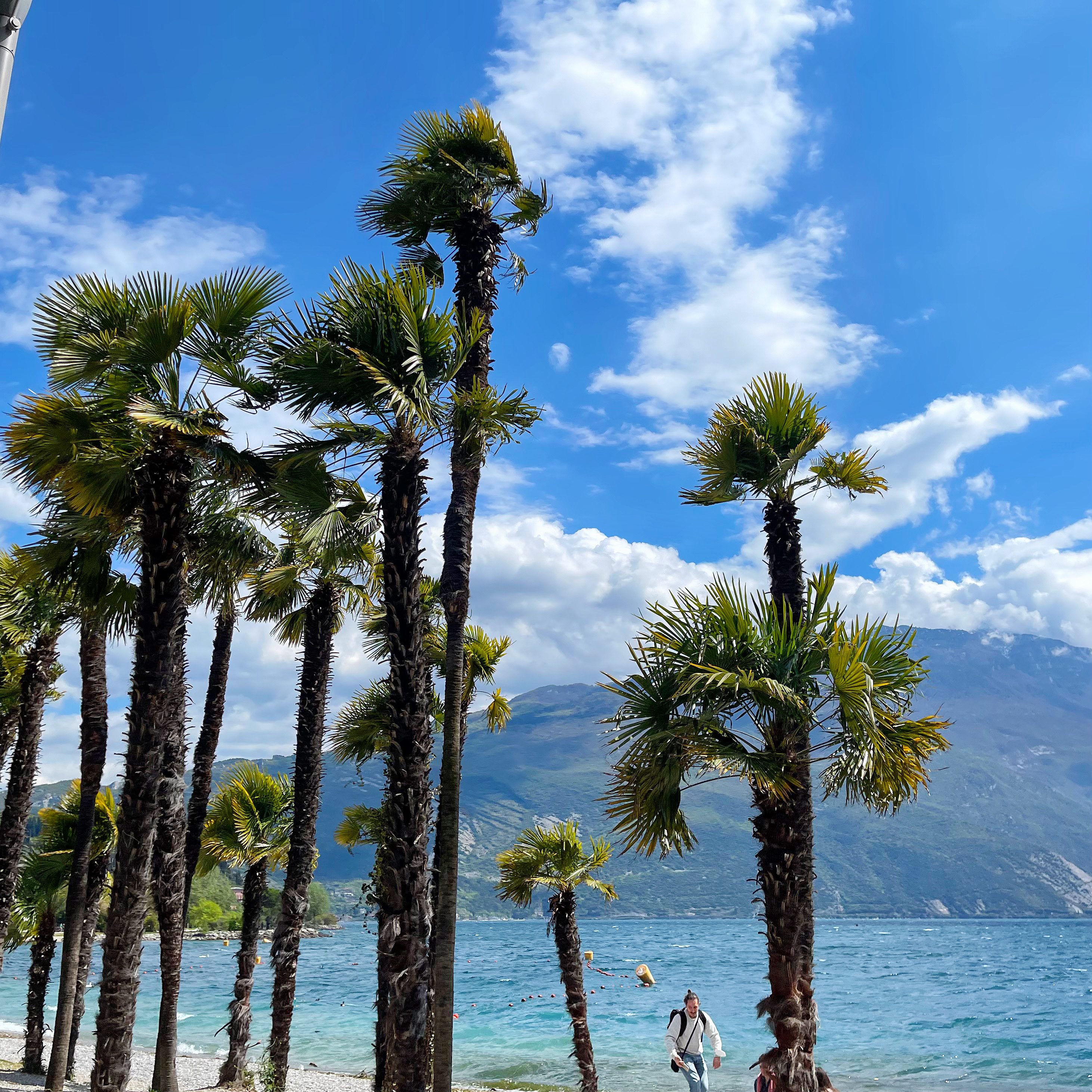Vista del lago e delle montagne dalla spiaggia
